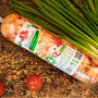 Деликатес из мяса курицы в желе с овощами 0,5 кг, 8 шт